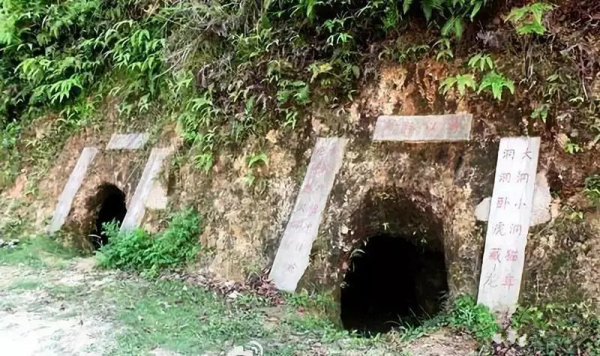 我的好兄弟好同事盧福逵：參加過自衛反擊戰、98抗洪……