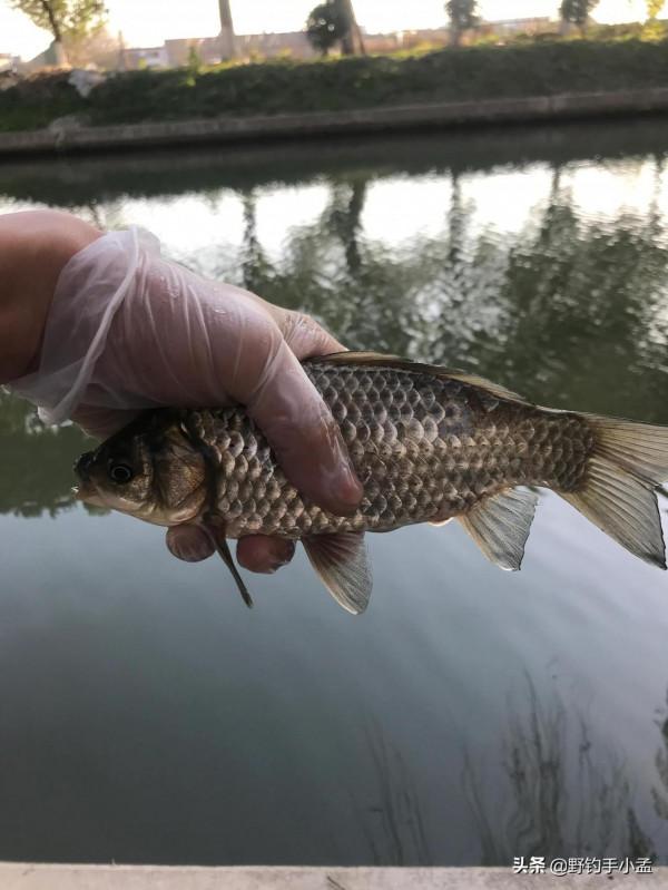 關於冬釣的5個硬核知識，一次性講清楚，釣魚人必備殺手鐧