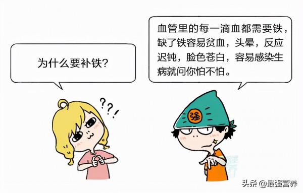 補鈣鐵鋅的10佳食物排行榜，吃什麼能食補看這篇就夠了