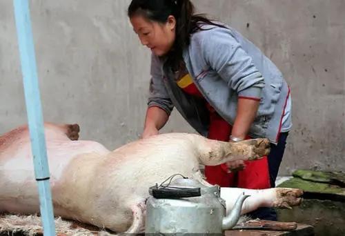 農村殺豬匠身上的戾氣很重，專門走夜路，野狗野貓不敢近身