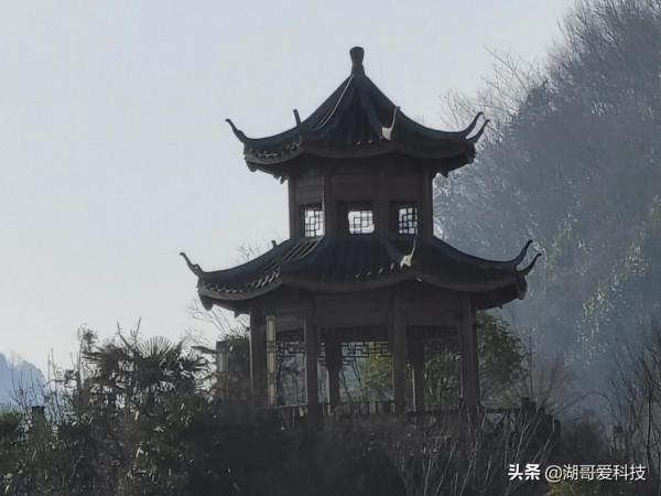 VIVO X70Pro&plus;和OPPO reno6 pro&plus;拍照樣張對比