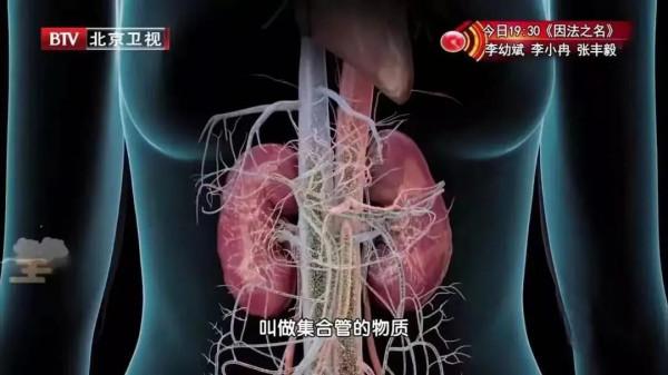 晨起第一杯水的科學喝法