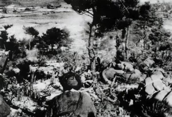 雲山戰鬥，吳信泉交火後才知道打的是美軍：本想吃肉，卻啃了骨頭