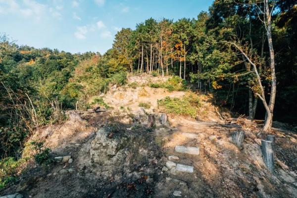 京都旅行 | 小眾京都 恍若仙境的千手寺雲海