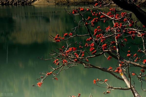 冬季到底哪裡最美？盤點這5個地方，讓你在寒冬也找到出行的樂趣