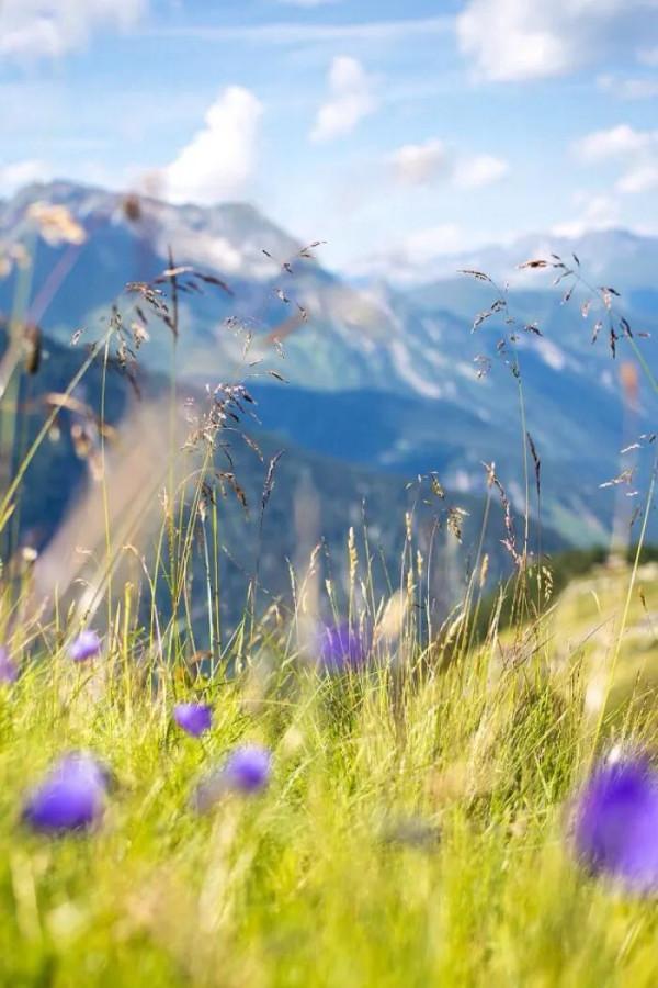 人生需要好好經營，不懂得經營，凍死的不一定是寒號鳥