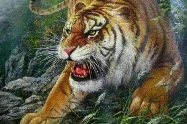 打油詩，虎威驚瘟神