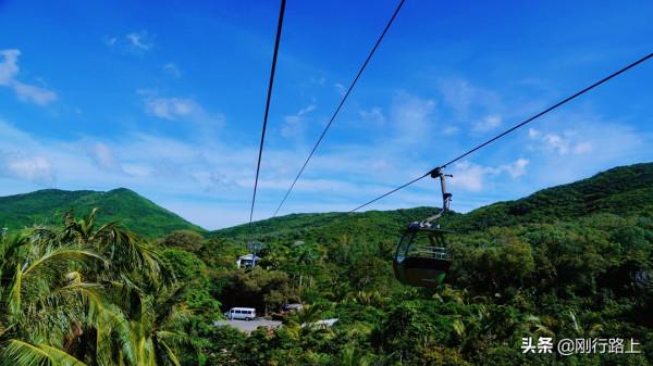 南灣猴島丨邀你赴一場別樣的“做客”之旅