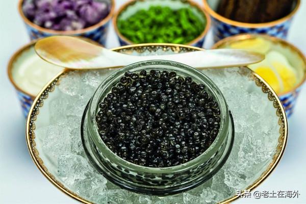 伊朗是一個什麼樣的國家，帶你瞭解真實的伊朗現狀