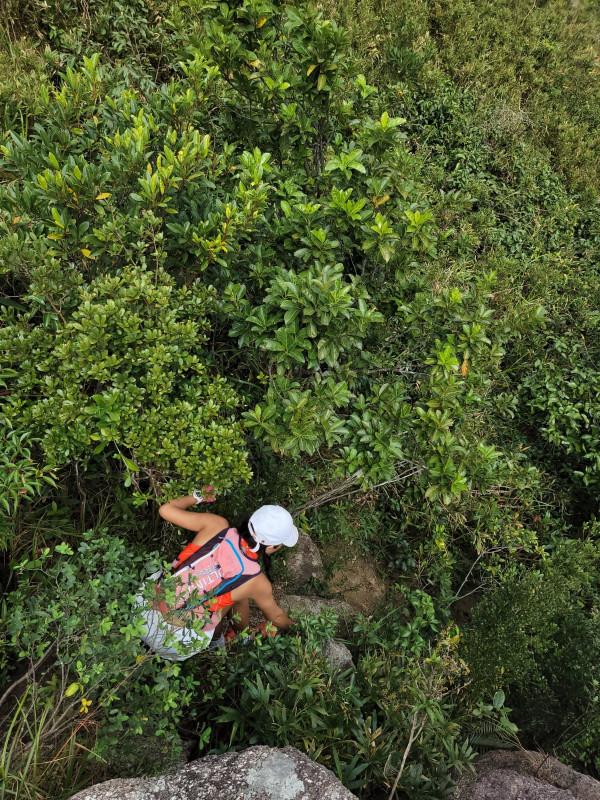 探險香港陽元石，路途崎嶇比較危險，需要資深的行山人士帶路