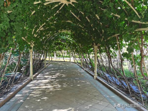 漢EV自駕新疆,探訪亞洲最大葡萄酒地下酒窖,逛完景區還送葡萄酒 漢EV自駕新疆,探訪亞洲最大葡萄酒地下酒窖,逛完景區還送葡萄酒