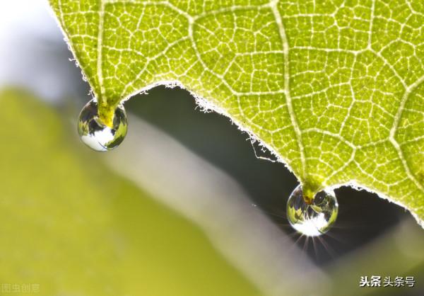 為了孩子的人生旅程，不能和孩子一般見識