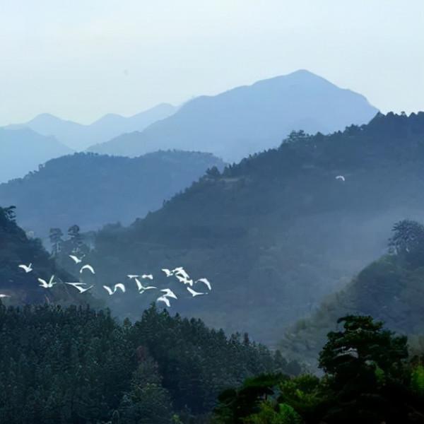 世外桃源菜溪巖