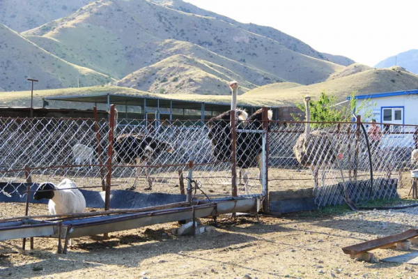 徒步戰國趙北長城（08）：哈德門溝——大壩溝