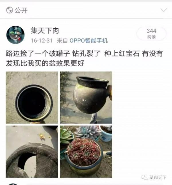 8年紅寶石--成長記錄