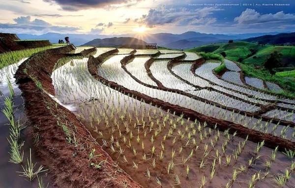 仙境一般的梯田美景，氣勢磅礴壯觀，無與倫比