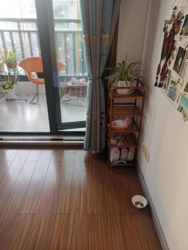 可愛的流浪貓 可愛的流浪貓