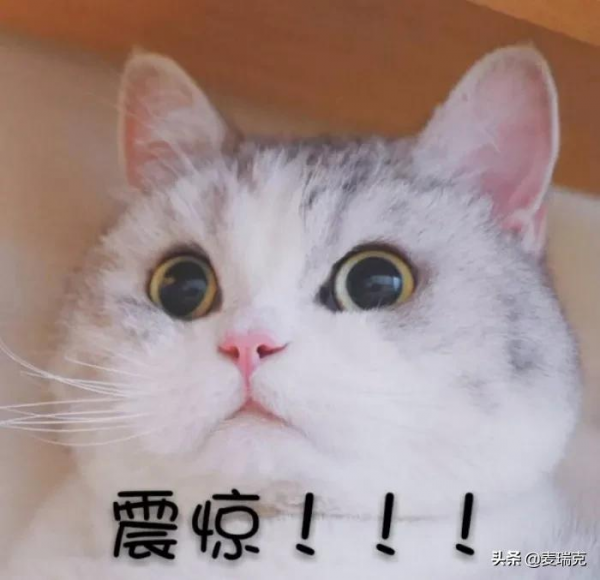 怕冷不想動?全年最容易減肥的時段來了 怕冷不想動?全年最容易減肥的時段來了