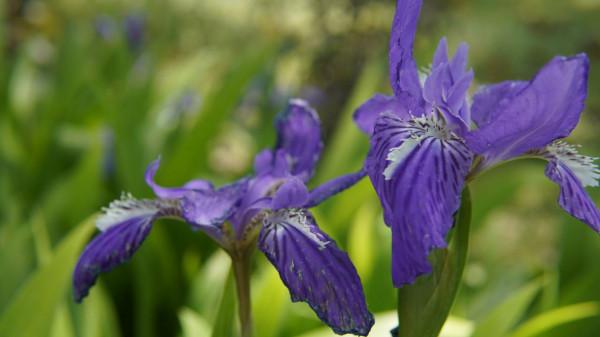 體育學學科最好的10所大學
