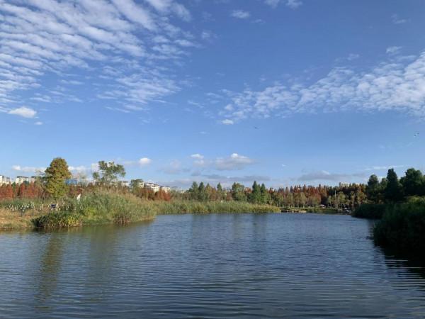 欣賞藍天白雲下的景色 欣賞藍天白雲下的景色