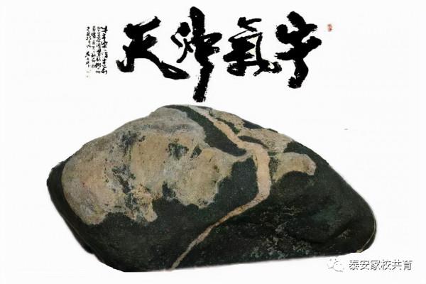 不少家庭教育理念，都是在忽悠家長，小心上當