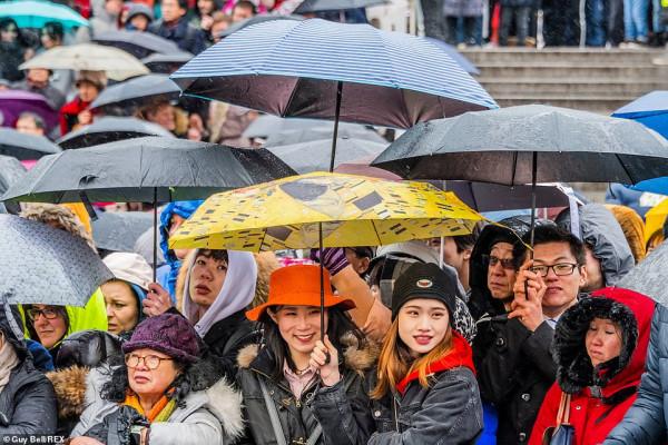 大年初一，寫給在異國他鄉過春節的你……