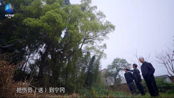 24字被藏20年,這是現存最早寫有入黨誓詞的文物 24字被藏20年,這是現存最早寫有入黨誓詞的文物