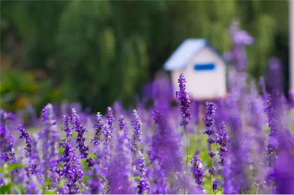 一個家庭過得幸不幸福，看看家裡的一個地方就清楚了