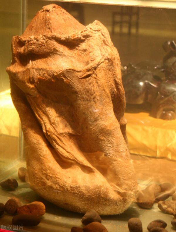 太歲究竟是什麼“東西”?中國科學家精密儀器檢測揭示太歲之謎 太歲究竟是什麼“東西”?中國科學家精密儀器檢測揭示太歲之謎