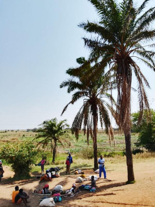 “非洲哥們”莫三比克現狀,帶你看看真實的莫三比克 “非洲哥們”莫三比克現狀,帶你看看真實的莫三比克