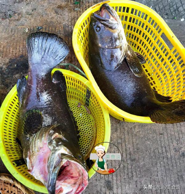 快過年了，這6種魚可以提前囤了，無法人工養殖，省錢好吃寓意好