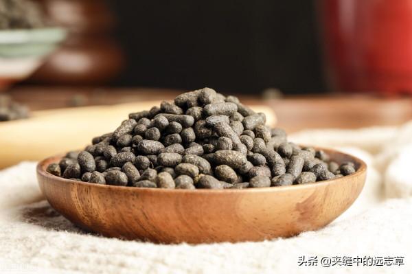 胸痛,冠心病?送你兩味中藥,一味行血,一味破血 胸痛,冠心病?送你兩味中藥,一味行血,一味破血