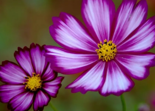 相對低調不會輕易展示自己的實力總是百折不撓迎難而上逆水行舟 相對低調不會輕易展示自己的實力總是百折不撓迎難而上逆水行舟