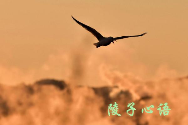 你羞於談錢嗎？退休女人要會攢錢，也要會花錢，更要會賺錢