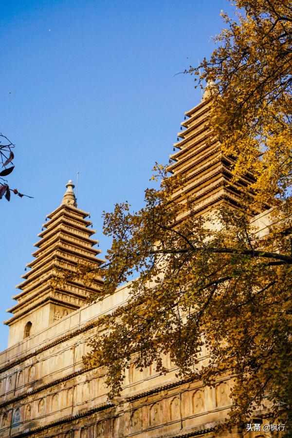 再有半個月，北京將迎來最美的季節，12個銀杏寶藏地，附機位攻略