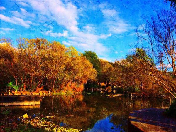 古詩詞裡的秋,似畫美,似情濃,似意長 古詩詞裡的秋,似畫美,似情濃,似意長