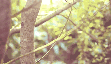 開啟手電筒後，再馬上關閉，這條光線會直接消失還是繼續傳播呢？