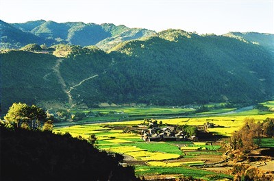 高黎貢山：生命的博物館