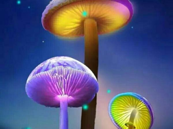 做為兒女,有回報於父母了嗎 做為兒女,有回報於父母了嗎