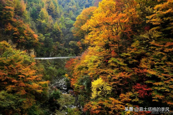 中國最美的10個紅葉景區,每一個都美到極致,你去過幾個? 中國最美的10個紅葉景區,每一個都美到極致,你去過幾個?