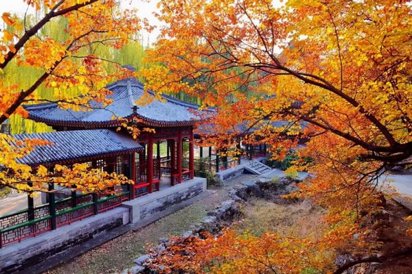 抓住秋季的尾巴,不要留有遺憾,這6個地方美爆了 抓住秋季的尾巴,不要留有遺憾,這6個地方美爆了