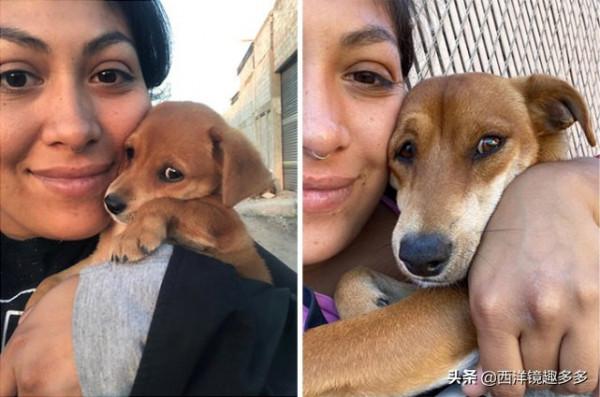 你的小狗狗長大啦，但是有些事永遠不會變