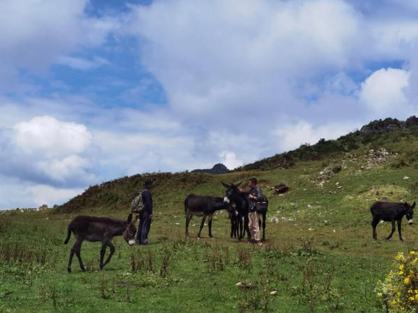 號稱雲南的小紐西蘭,小眾露營地——麼波衝 號稱雲南的小紐西蘭,小眾露營地——麼波衝