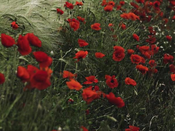 看似溫柔,實則內心很理性的星座,他們的邏輯很好,擅長以理服人 看似溫柔,實則內心很理性的星座,他們的邏輯很好,擅長以理服人