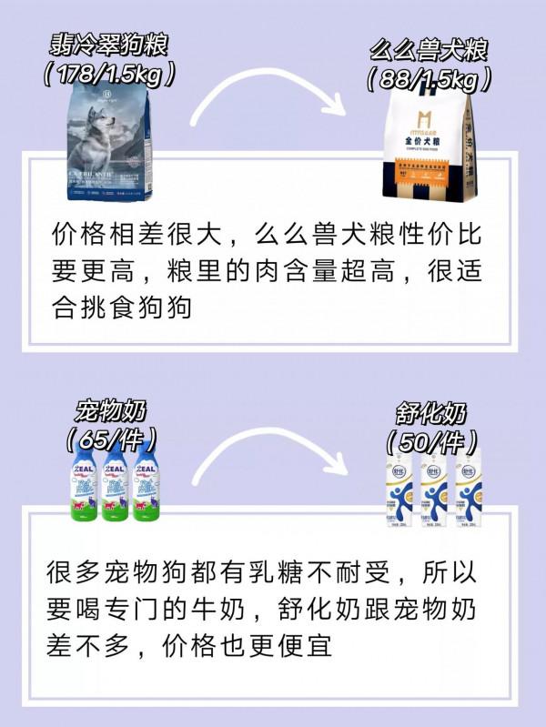 教你如何每月不超200就能精緻養狗｜養狗清單