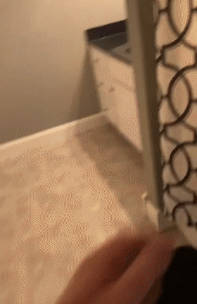 我養的不是狗,是隻502膠水 我養的不是狗,是隻502膠水