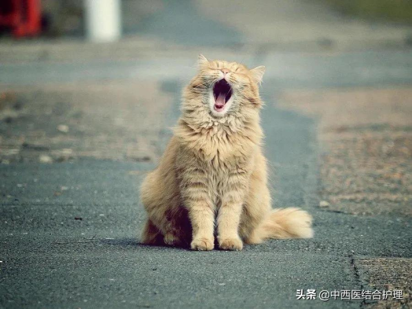 「春季養生」立春後，萬物復甦！中醫：我勸你春天少吃肉和酸寒食物