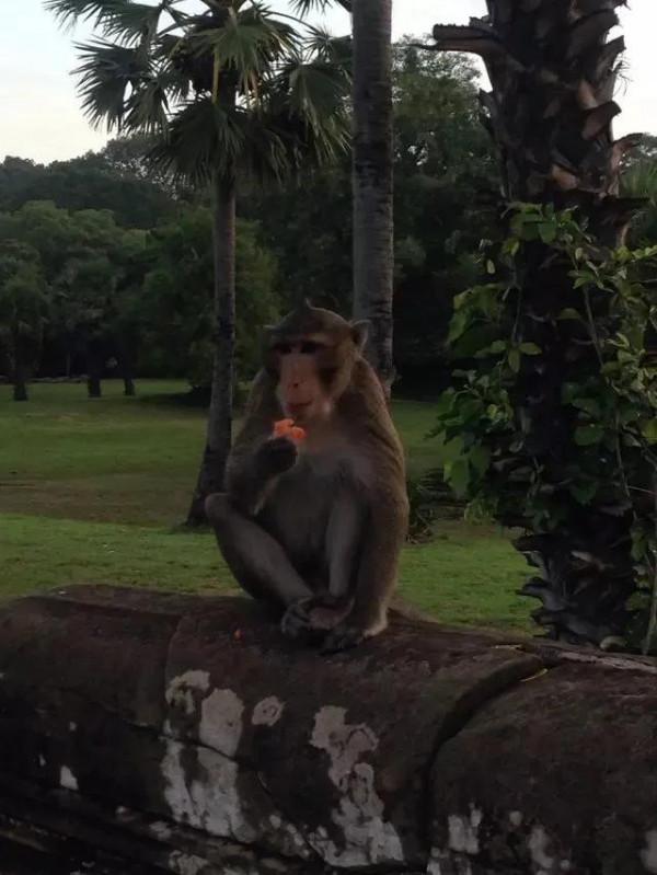行攝吳哥(三) 行攝吳哥(三)