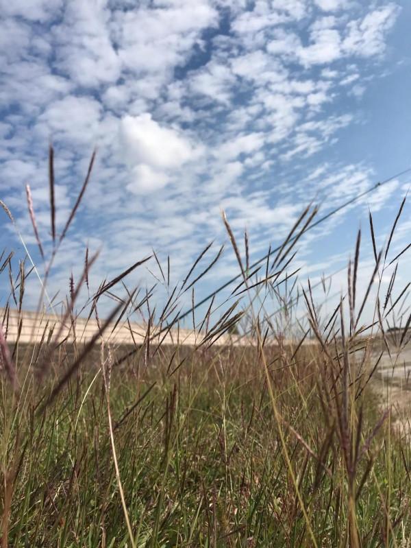 秋日江邊美如畫 秋日江邊美如畫