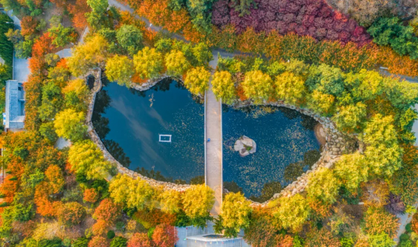就算為了愛情,也要來赤山看紅葉,源於一個古老的傳說! 就算為了愛情,也要來赤山看紅葉,源於一個古老的傳說!